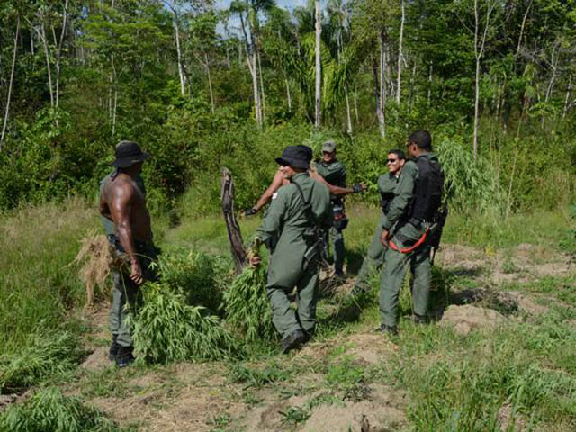 maconhe2014legenda00202