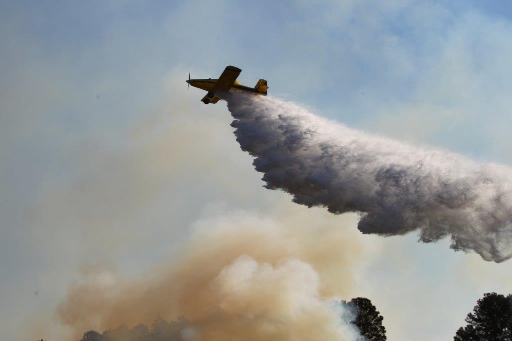 Fotos: F.L. Piton / A Cidade eb594bd0-aeb1-4425-9a2a-a05db8ade30a