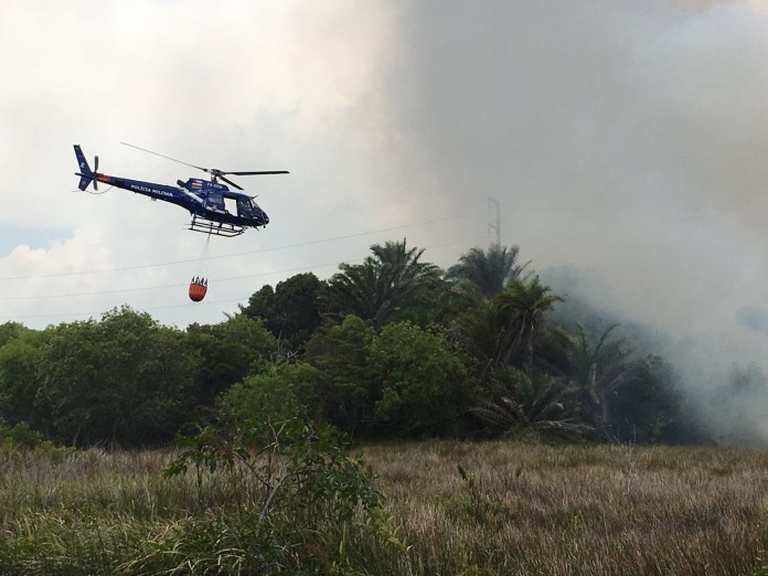 IMG-20160213-WA0031-696x522