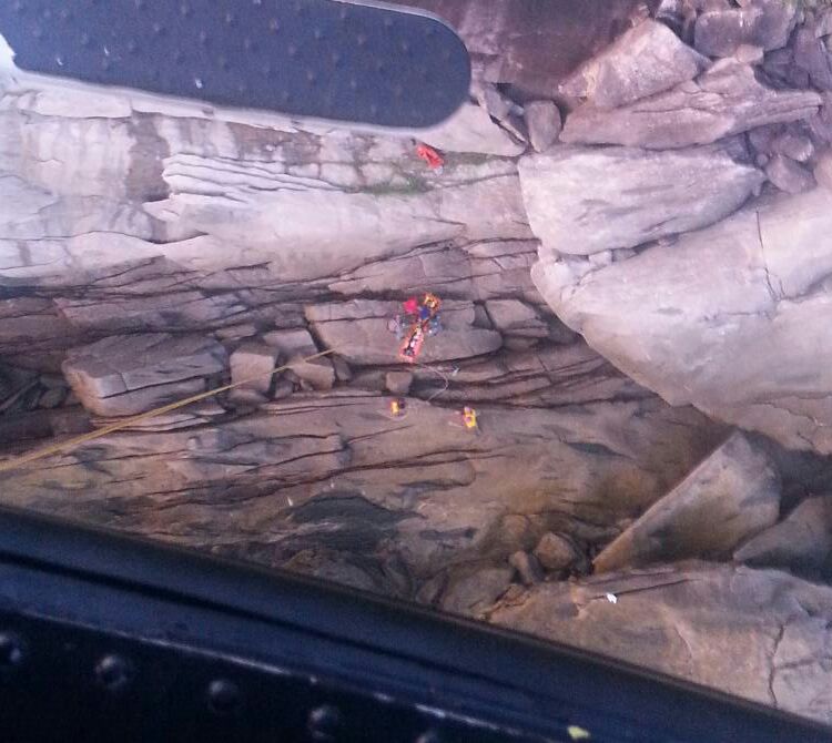 d83c35ce-7068-4a82-8898-830319e45add