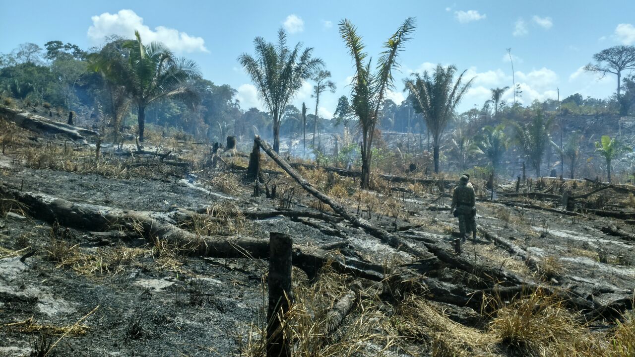 Governo intensifica fiscalização de desmatamento e queimadas em Tarauacá/AC