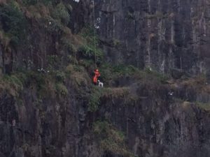 GOA/RJ: Com ajuda de helicóptero, cão dálmata é resgatado em Volta Redonda/RJ GOA/RJ: Com ajuda de helicóptero, cão dálmata é resgatado em Volta Redonda/RJ