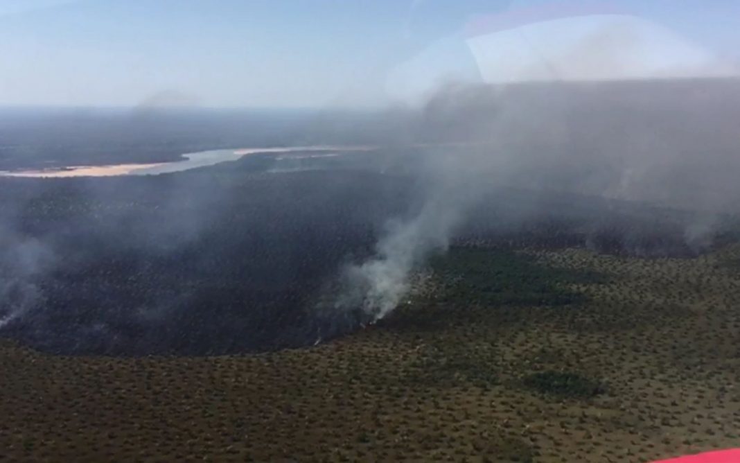 Incêndio atinge o Parque Estadual do Araguaia, em Novo Santo Antônio (MT) (Foto: Corpo de Bombeiros de Mato Grosso)