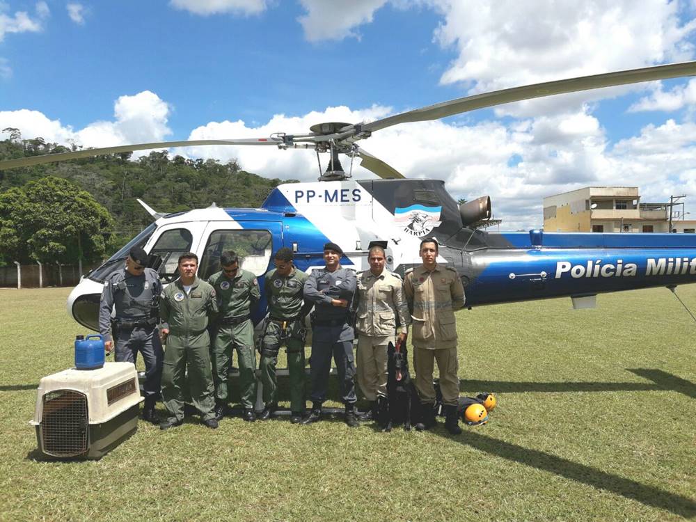 Helicoptero_e_corpo_de_bombeiros_procuram_idosa_desaparecida_em_Afonso_Claudio