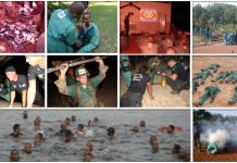 Conclusão do IP/PC sobre morte no curso TOM-M no MT