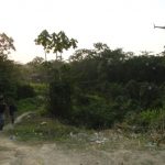 dsc05205.jpg