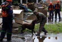 Corpo de Bombeiros de Santa Catarina cria Força Tarefa