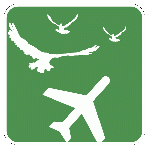 Colisões entre aviões e aves aumentam 10% em 2010