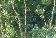 BAPM/SC localiza helicóptero acidentado em Jaraguá do Sul