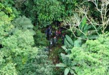Mais um grupo perdido na Serra do Mar é resgatado pelo Corpo de Bombeiros
