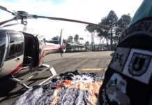 BPAmb e GRAER realizam “Operação Harpia” em Curitiba