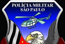Polícia Militar de São Paulo publicou edital para compra de seis helicópteros biturbina