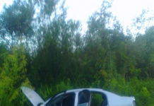 PC e PRF localizam desmanche de veículos na região metropolitana de Curitiba/PR