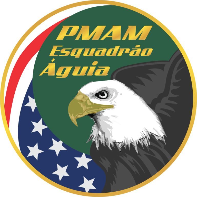 DFNSP e GRAer/AM realizam exames de proficiência de pilotos