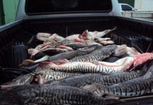 CIOPAer/MT apoio operação ambiental em parceria com a SEMA