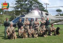 Cia Pol Cães realiza treinamento conjunto com BAPM/SC