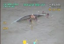 Helicóptero policial localiza vítimas com utilização de FLIR na Flórida/EUA