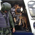 Militares serão treinados para embarcar e desembarcar cães no Hárpia 05