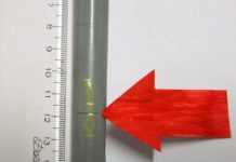 Atenção com linhas de pipa: O perigo está no ar