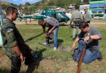 GAM/RJ participa de operação conjunta para combater crimes ambientais