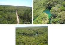 Assaltantes de banco vem a óbito em confronto com a Polícia