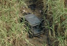 Águia da PM descobre nove carcaças de carros em canavial de Cosmópolis