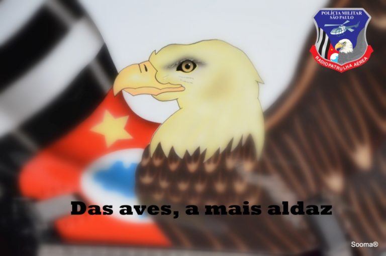 E a Discovery descobriu os Águias…