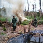 Policiais do GTA destruíram a plantação localizada no povoado Boca da Mata. Foto: Douglas Pinto.