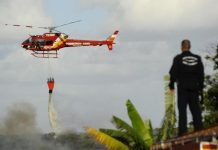 Arcanjo 01 apoia equipes de Bombeiros em incêndio em vegetação em Florianópolis/SC
