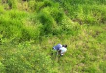 Águia 19 apoia policiais na prisão de assaltantes em Araçatuba/SP