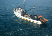 Pescador ferido é resgatado por helicóptero de Joinville em mar aberto