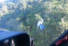 Águia resgata praticante de parapente em Santo Amaro da Imperatriz/SC