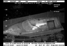 A importância da aviação policial no atentado de Boston/EUA