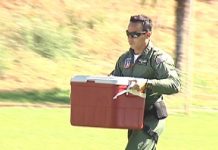 O voo da vida do pequeno David