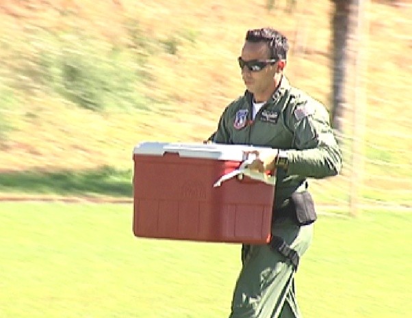 O voo da vida do pequeno David