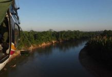 Um ato, um serviço, uma esperança, um agradecimento