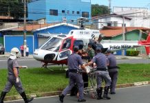 Águia pousa em avenida de Campinas para socorrer criança