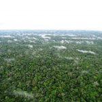 Vista-Aérea-da-Selva.jpg