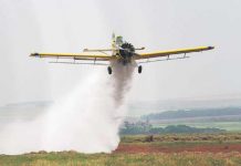 Governo de São Paulo licita serviço de aeronave para combate a incêndio florestal