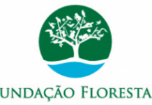 Licitação para aquisição de helicóptero biturbina é revogada