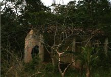 A angústia do cativeiro e a libertação – Um relato de gratidão