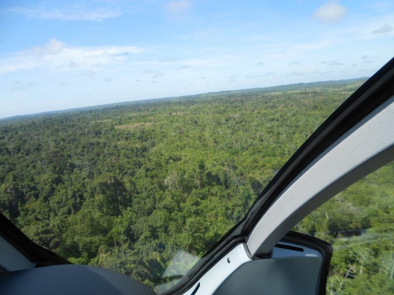 Grupamento Aéreo do Pará localiza vítima de sequestro em mata fechada