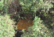 Águia 10 localiza trator roubado por quadrilha em Araçatuba/SP