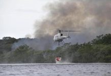 Incêndio atinge mata no região do Canal do Linguado em Araquari/SC