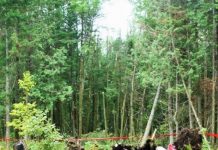 Os riscos dos voos noturnos