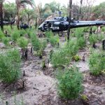 Fotos Mauro Lopes 48