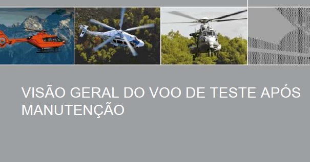 Visão geral do voo de teste após manutenção – Rogério Holzmann