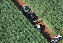 Helicóptero Águia apoia perseguição na SP-306