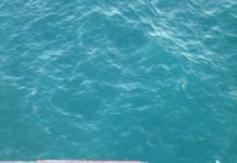 Bombeiros fazem regate de banhista e kitesurfista em Florianópolis