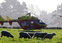 Helicóptero aeromédico efetua pouso de emergência na Nova Zelândia